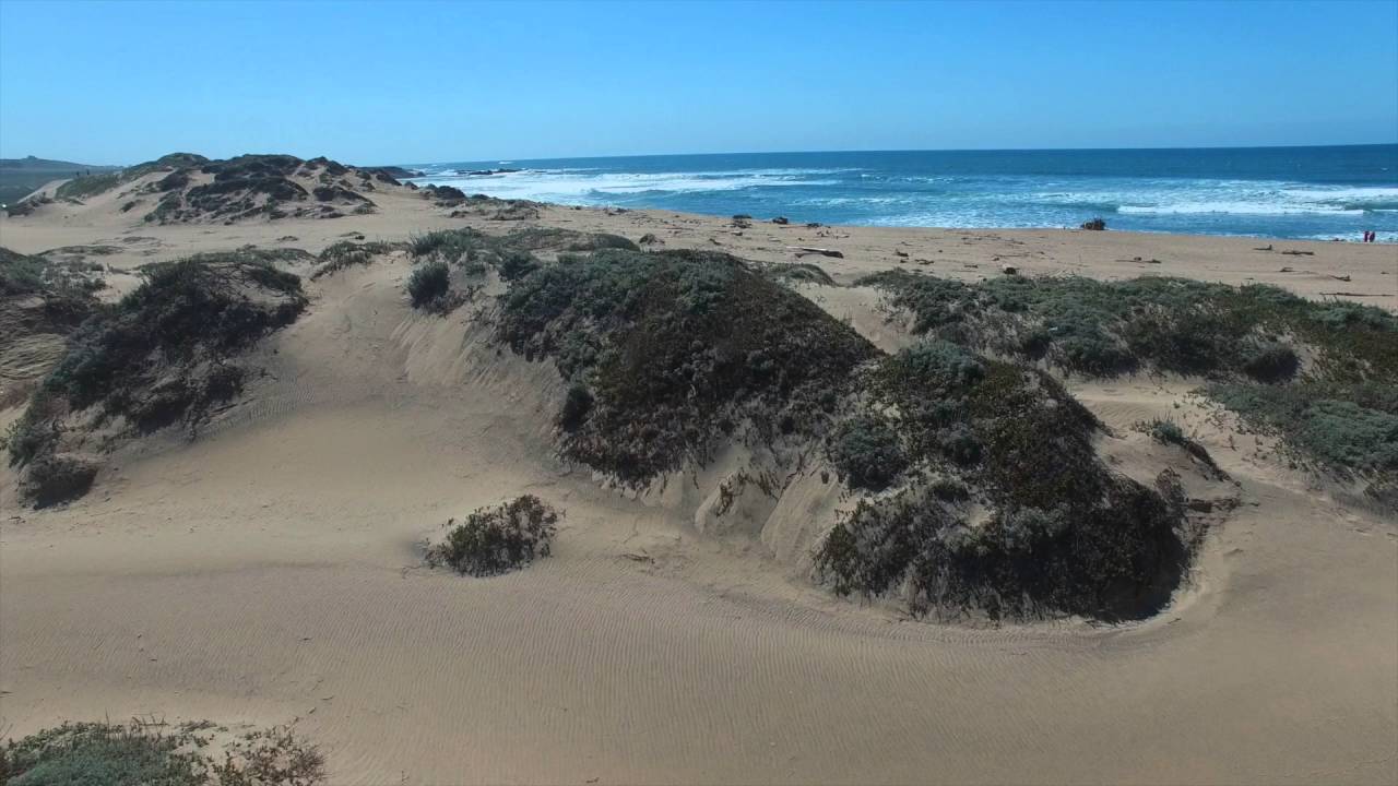 PIGEON POINT DRONE