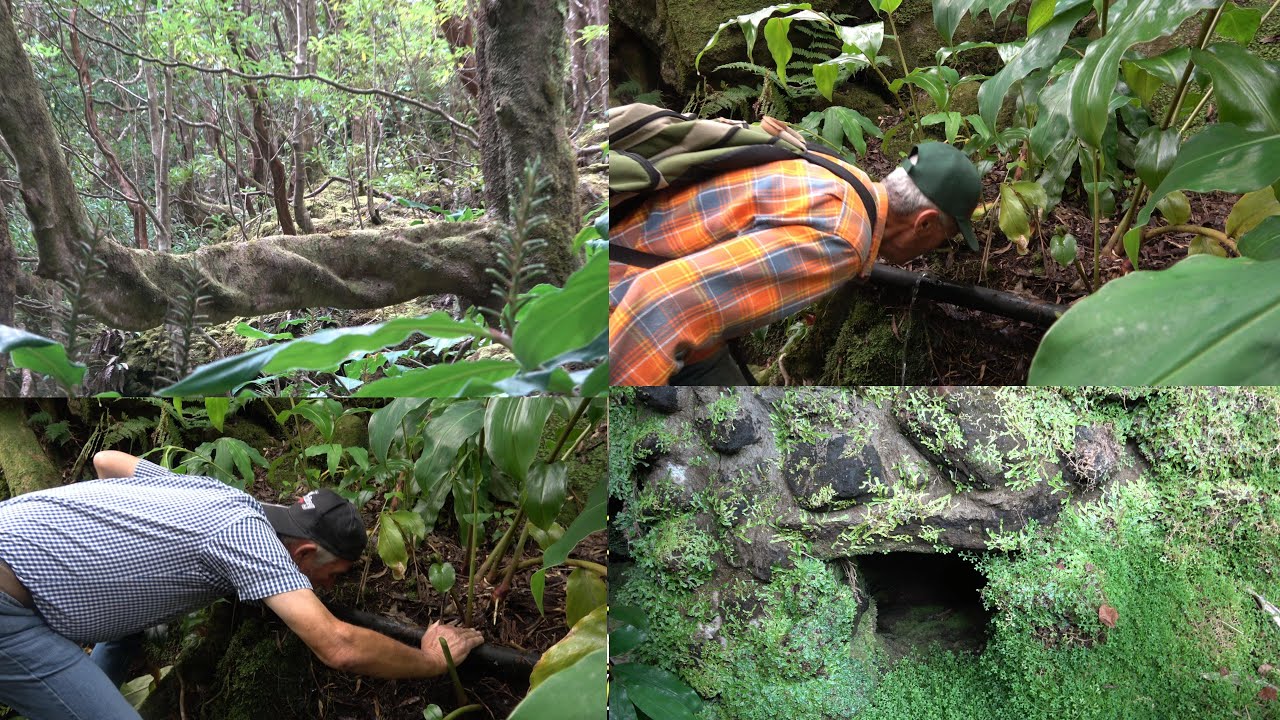 18 -12- 2025 / A NATUREZA & HISTÓRIAS ESQUECIDAS