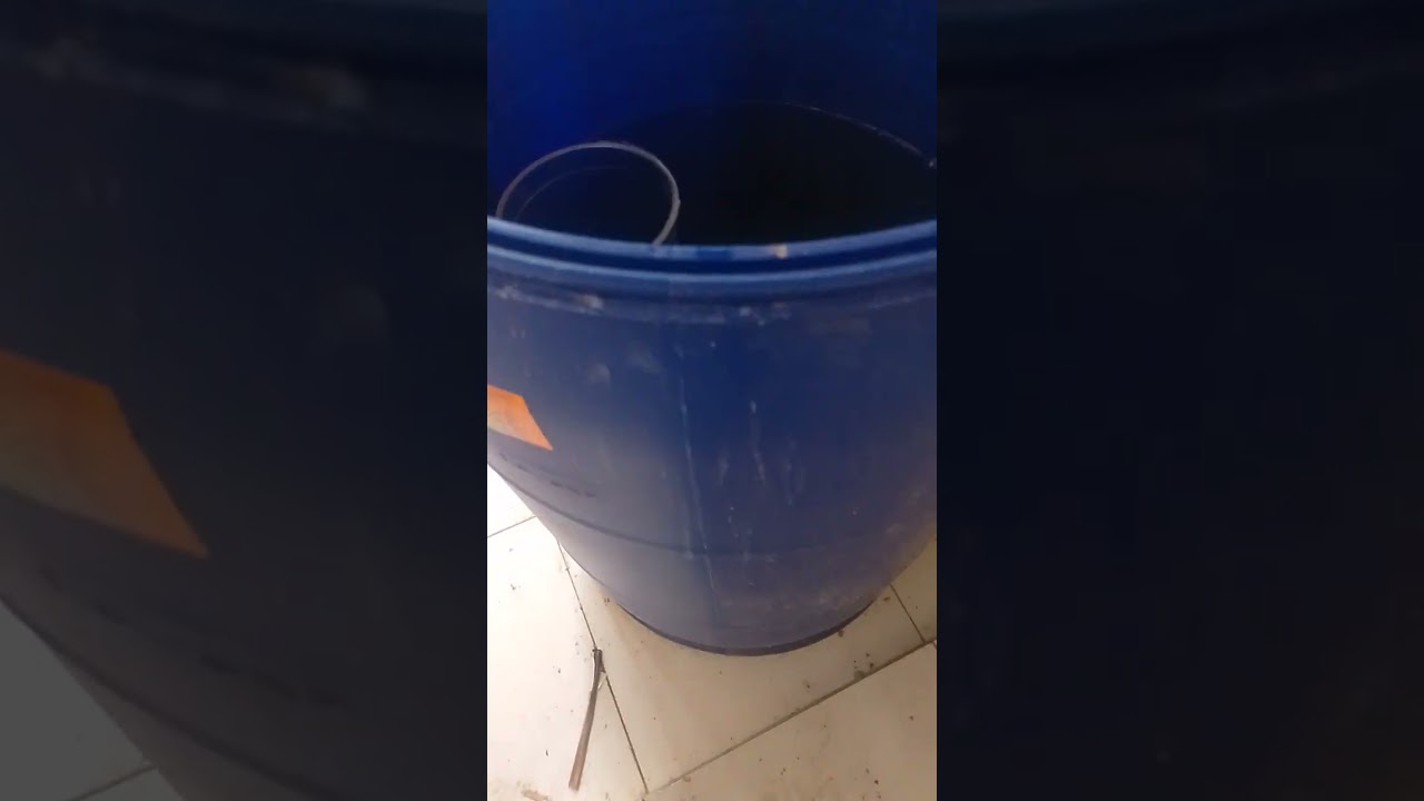 Construindo um quintal orgânico!