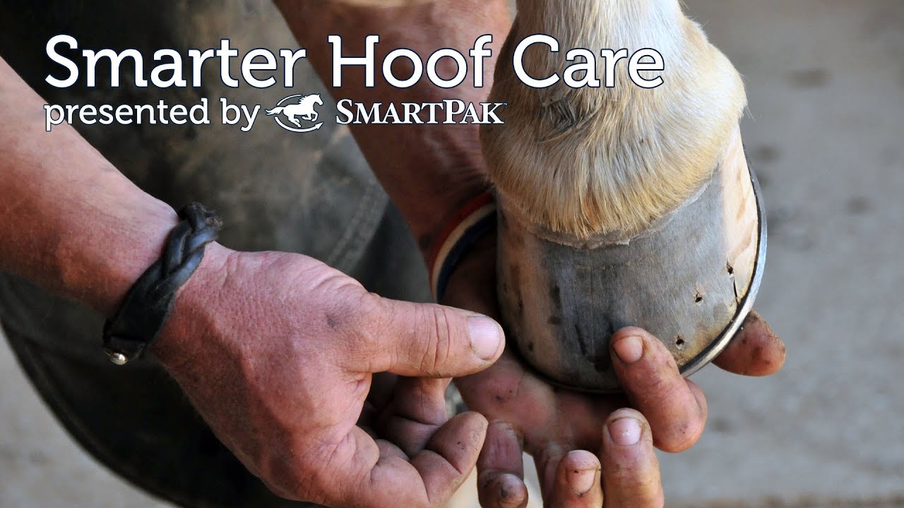 Smarter Hoof Care