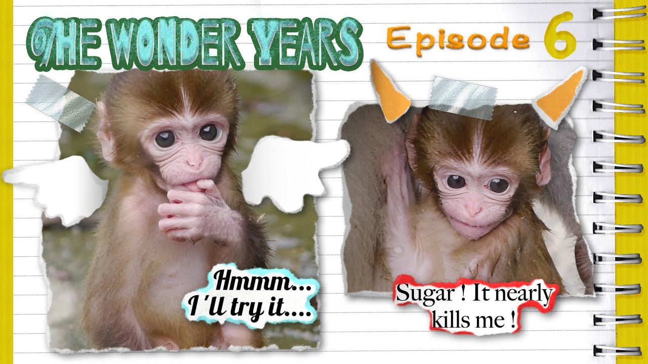The Wonder Years - Episode 6 : A day full of mishaps 🤣