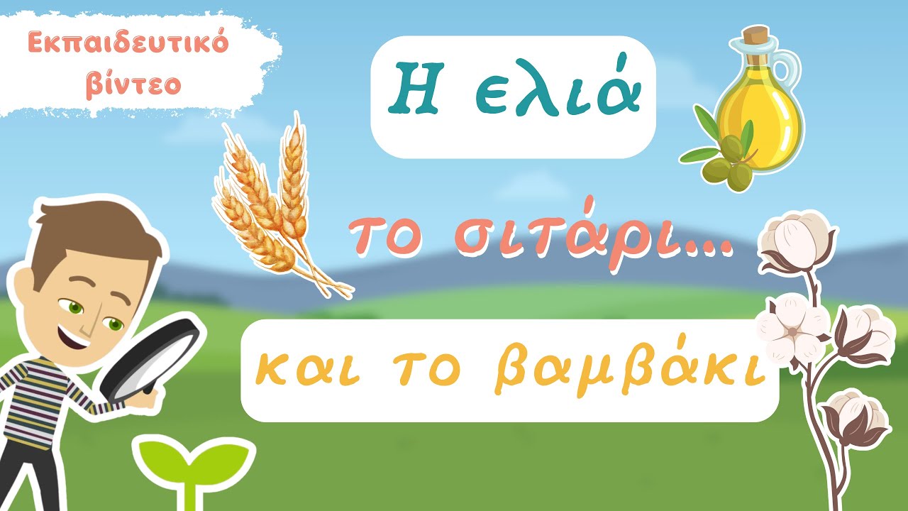 Η ελιά, το σιτάρι και το βαμβάκι στο νηπιαγωγείο 🌱 Από τον σπόρο στο φυτό / Εκπαιδευτικο βιντεο