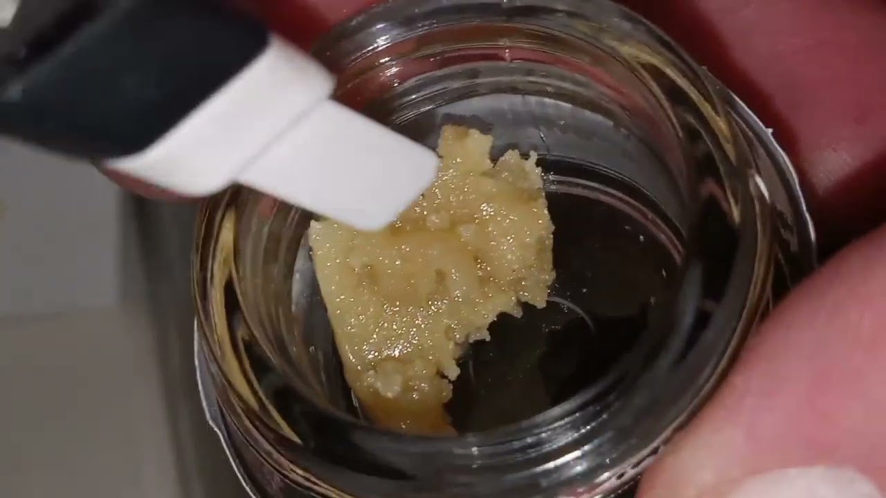  Reviewing Shm sour diesel thca cold cure live rosin 🔥  ⛽ 21an  older only 