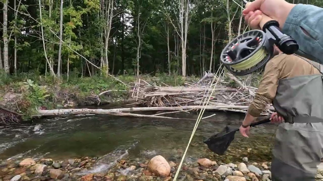 Pêche à la truite en Nouvelle-Écosse | Roxanne