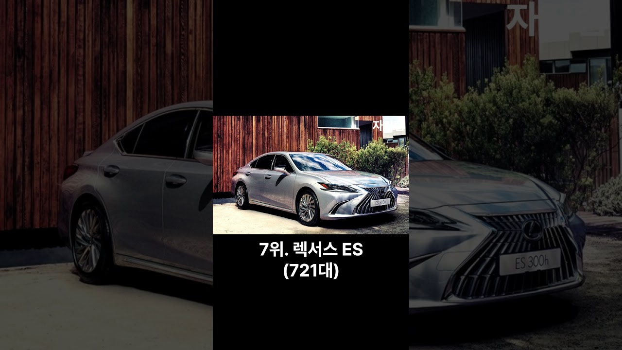2025년 12월 수입차 판매 순위 TOP10