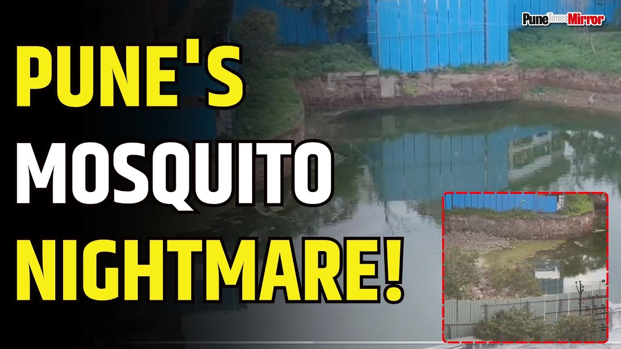 Pune News | Pune`s mosquito nightmare! Civic Failure Exposed! | Pune Times Mirror