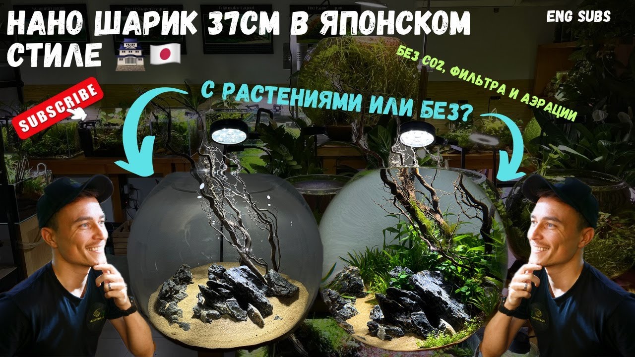 НАНО НИЗКОТЕХНОЛОГИЧНЫЙ ШАРИК В ЯПОНСКОМ СТИЛЕ | NANO LOW TECH BALL AQUARIUM IN JAPANESE STYLE