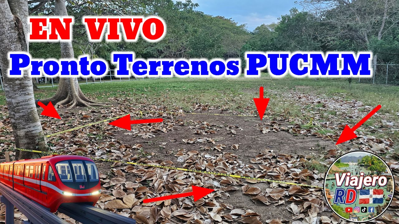 En vivo 