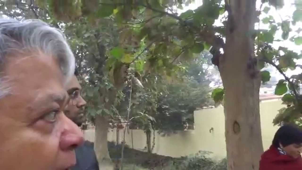 Suraj, Aruna & Hari Sharma around Malviya Shishu Vihar, BHU Campus Varanasi Jan 16, 2015