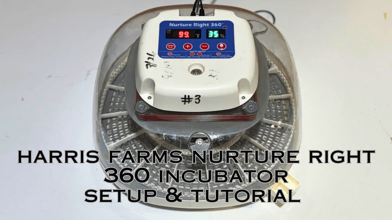 Harris Farms Nurture Right 360 Incubator Set Up & Tutorial GREAT BEGINNER INCUBATOR