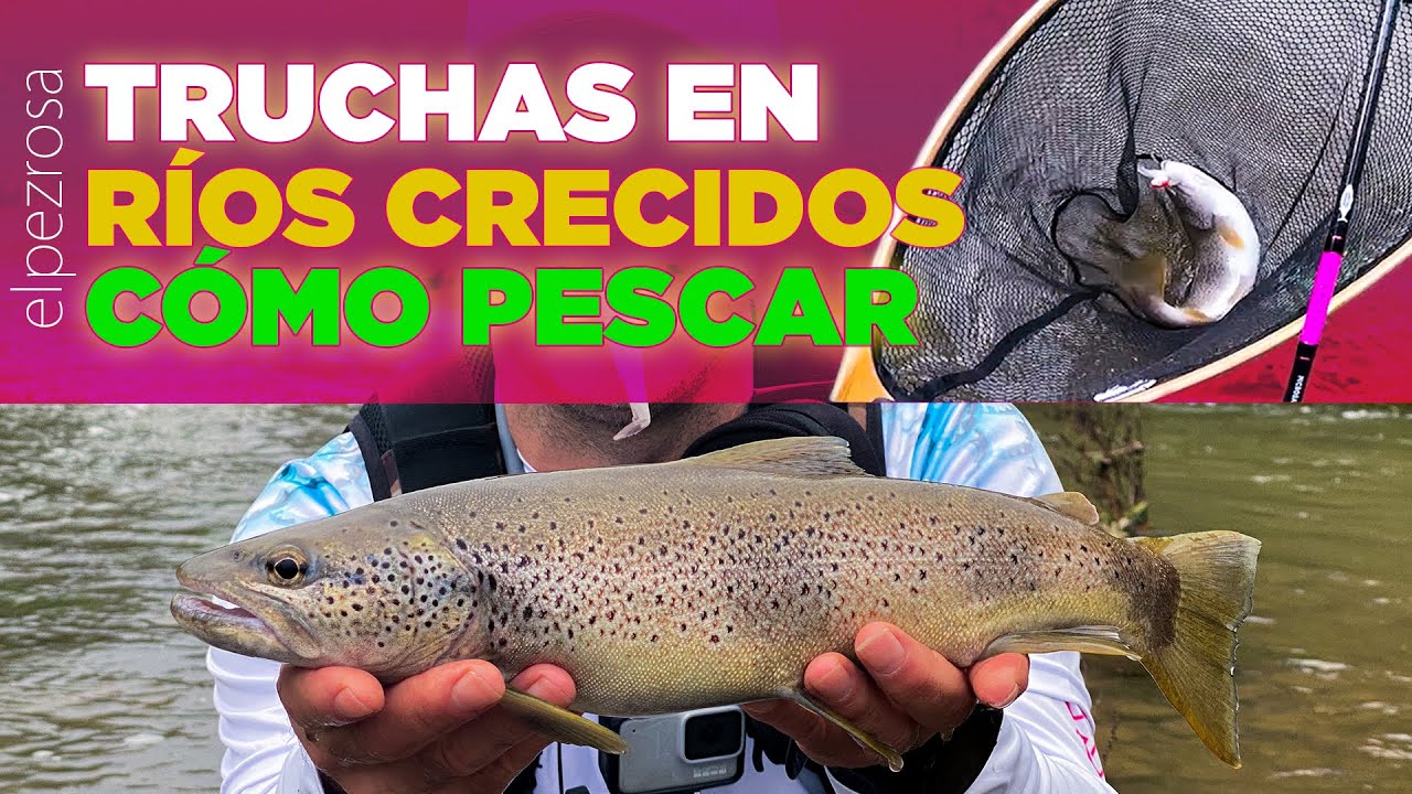 Pescando truchas en ríos crecidos: Experiencias, materiales y conclusiones