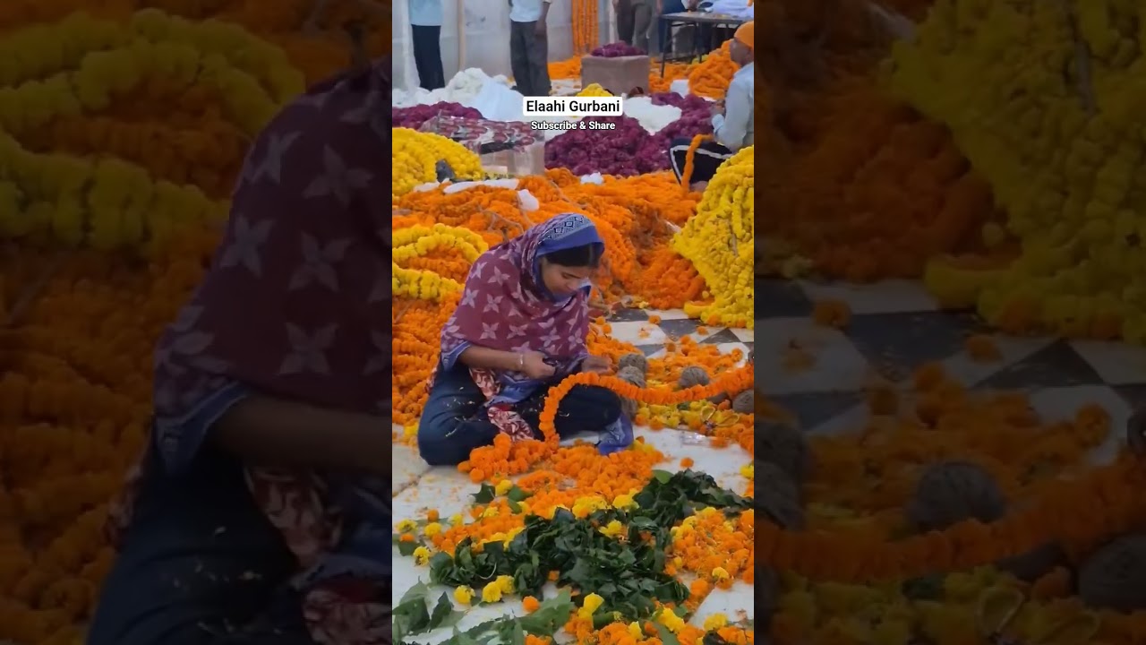 Dhan Dhan Ramdas Gur | Sri Darbar Sahib Ji | Prakash Purab Dhan Shri Guru Granth Sahib Ji |