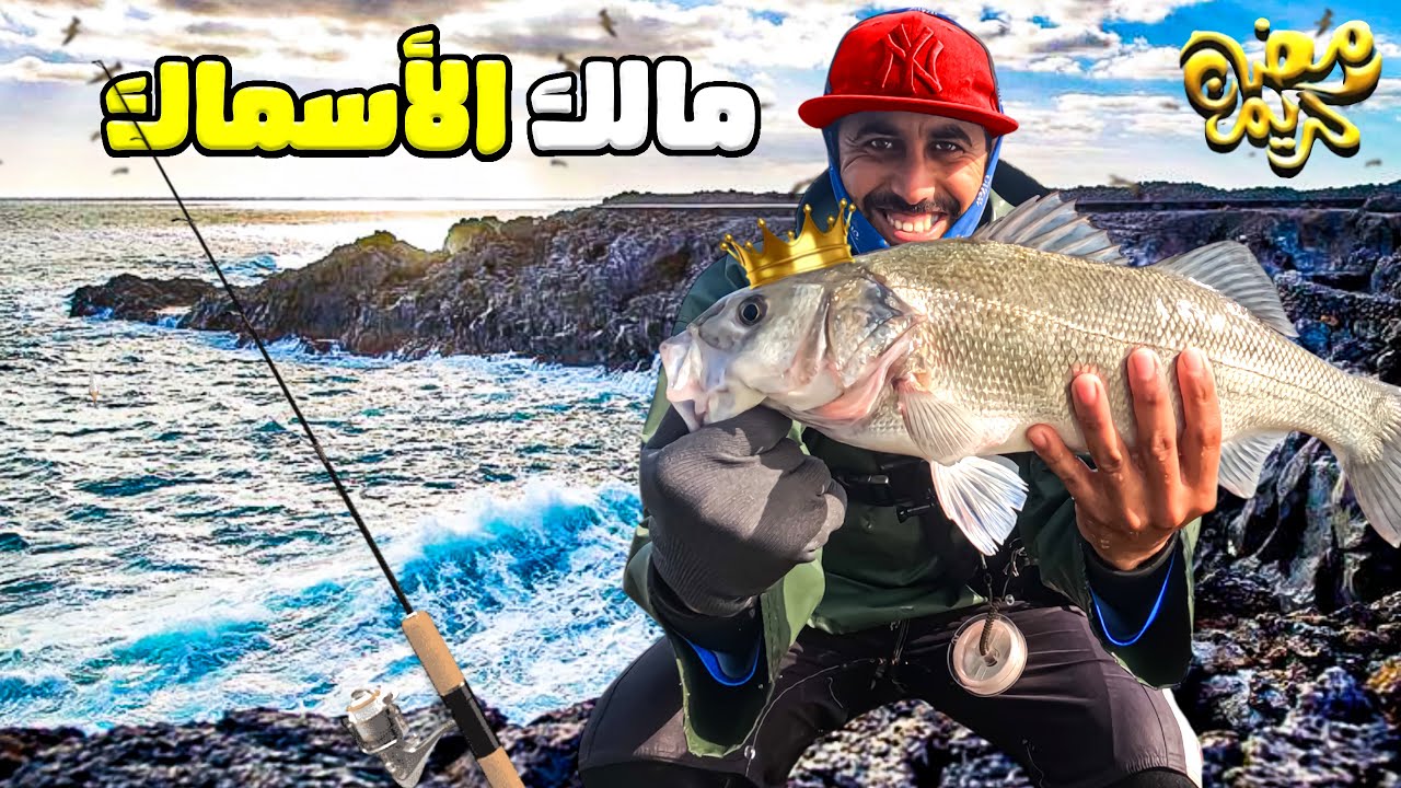 صيد رمضاني : مغامرة صيد أندر أسماك 🐟 في البحر
