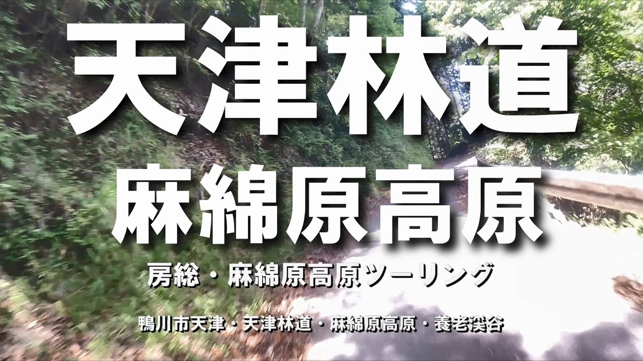 房総・麻綿原高原ツーリング 天津林道で 麻綿原高原さらに養老渓谷まで  [Driving footage]  'Mamenbara Plateau', Boso Peninsula, Japan