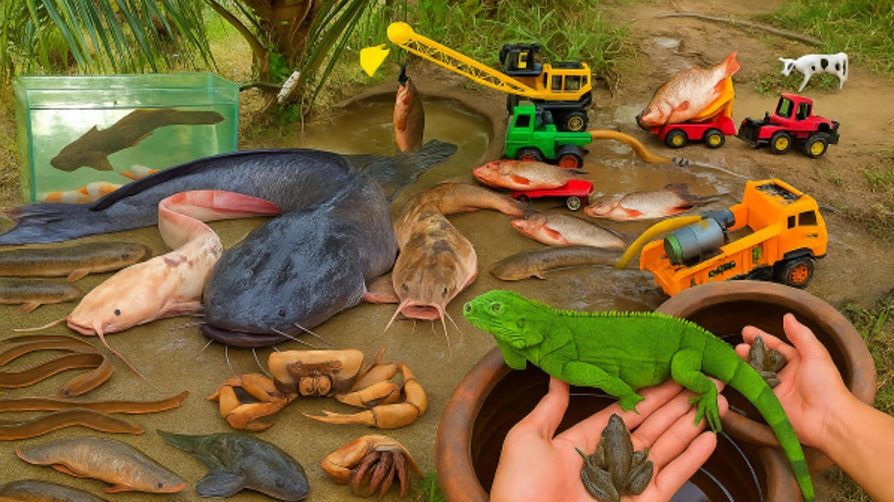 Catch Fish the TinyTruck Tales Way | Jungle Adventures, Muddy Missions & Nature’s Surprises