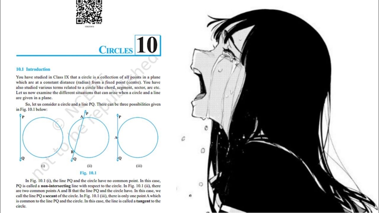Ranking Class 10 Maths Chapters With Memes
