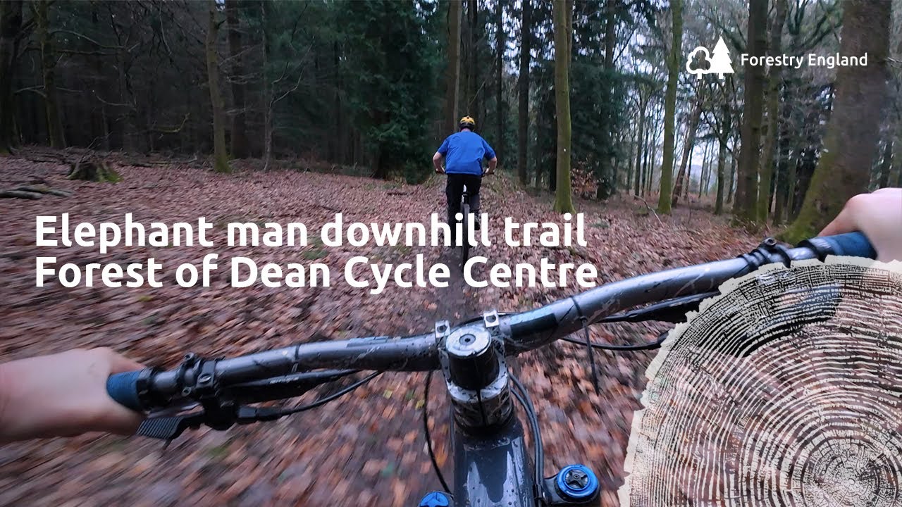 Elephant man | black downhill mountain bike trail PoV | Forest of Dean cycle centre cycle