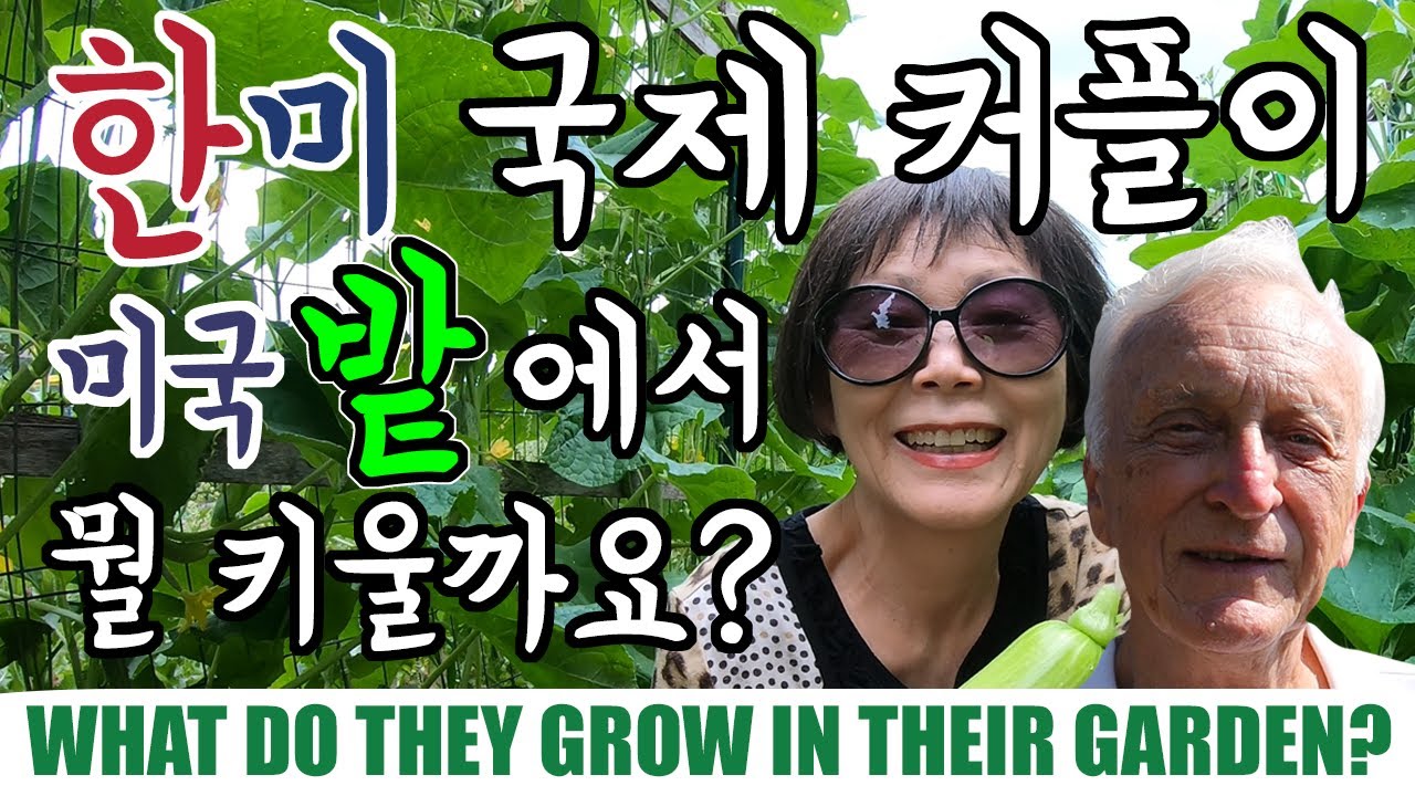 한미 국제 커플이 미국 밭에서 뭘 키울까?  What do They Grow in Their Garden?