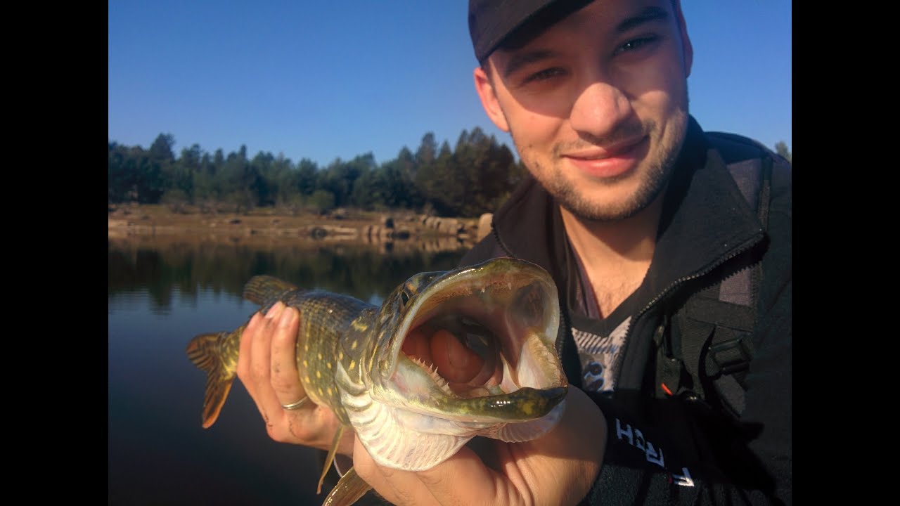 2&ordm; Convivio Pesca e Liberta | #L&uacute;cio Real| Catch and Release Portuguese Meeting Group |  #Pike |