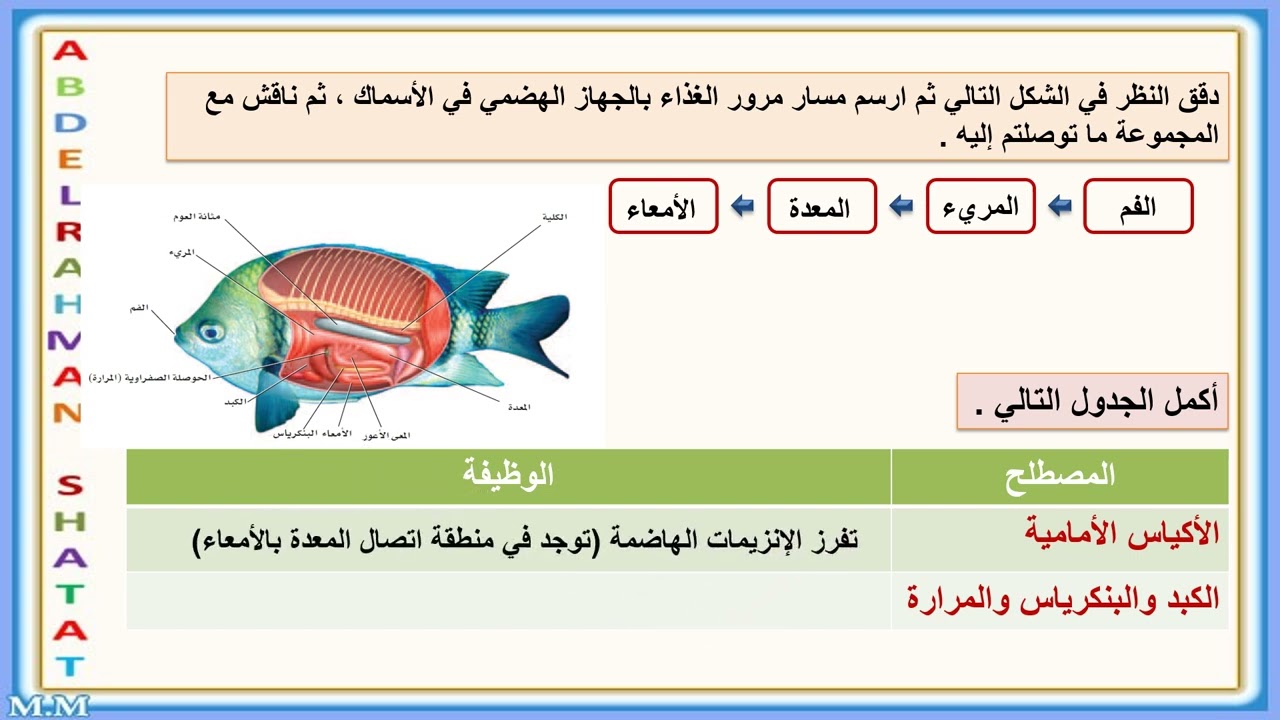 الأسماك الجزء الثاني