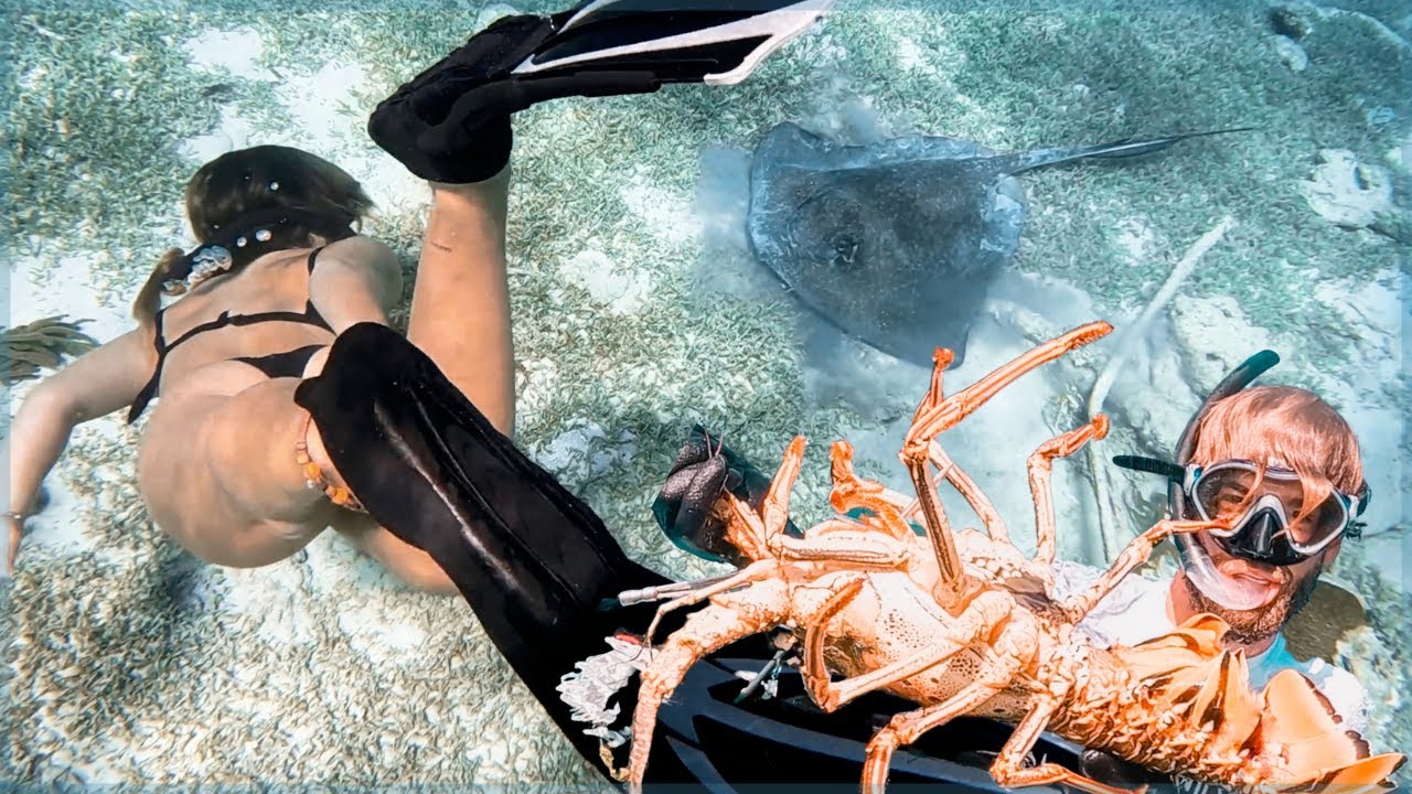 Pesca y Cocina de LANGOSTA GIGANTE en el Caribe - Nadamos con tiburones, tortugas y rayas Ep. 21