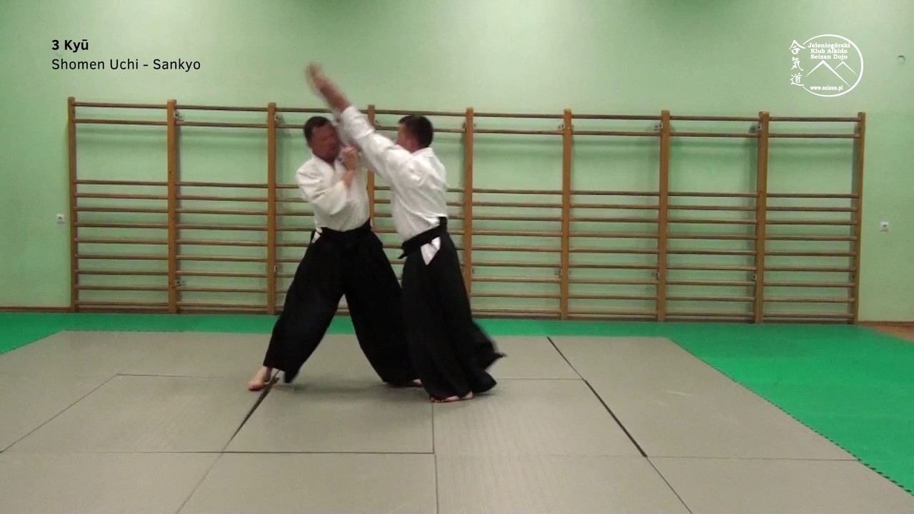 Aikido Test requirements 3 KYU