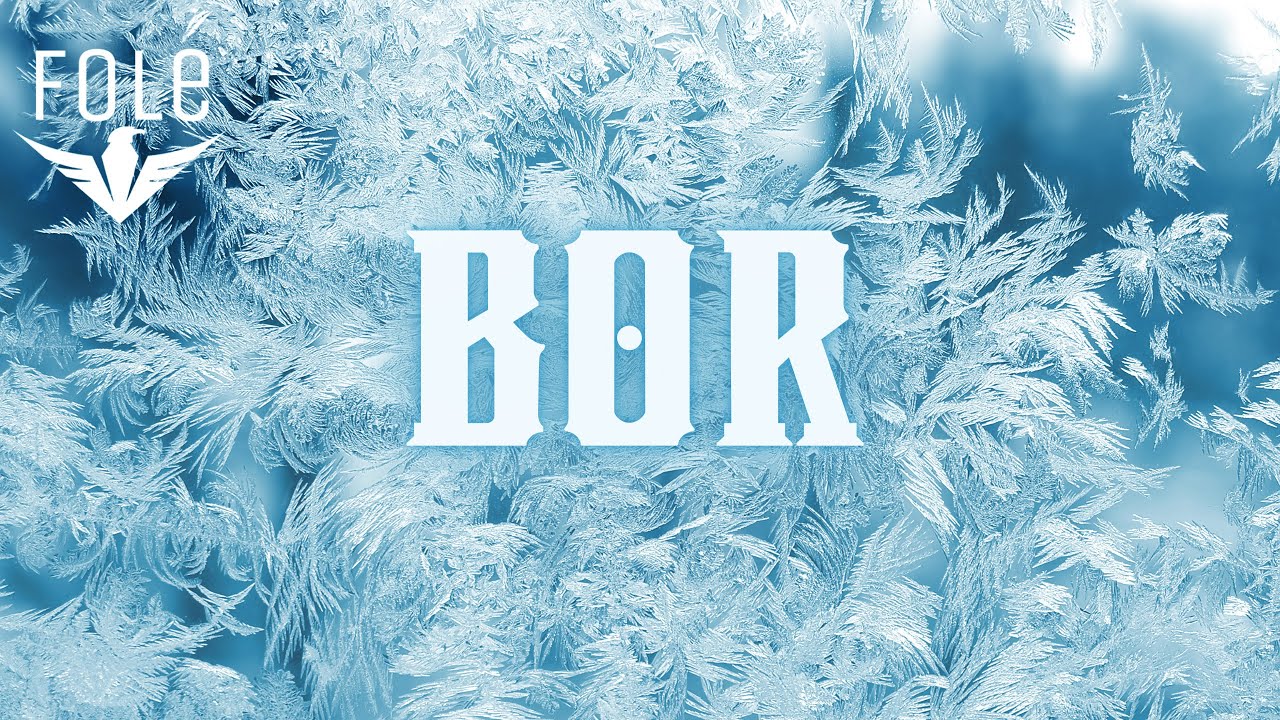 DARIS - BOR'