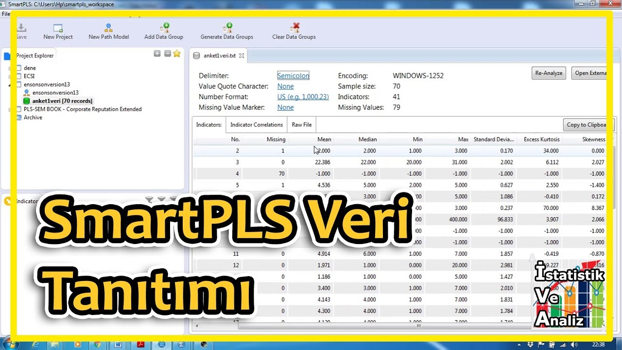 SmartPLS'e Veri Girişi