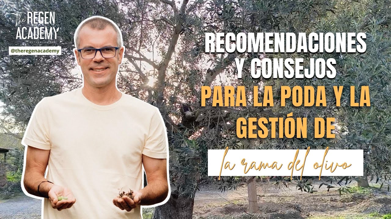 Recomendaciones y consejos para la poda y la gestión de la rama del olivo