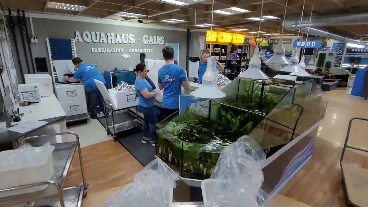 Export shipping by Aquahaus-Gaus