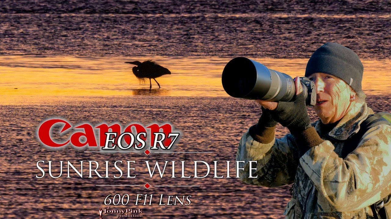 Восход солнца над дикой природой с помощью Canon R7 и объектива 600 F11 (960mm EQV) и винтажной к...