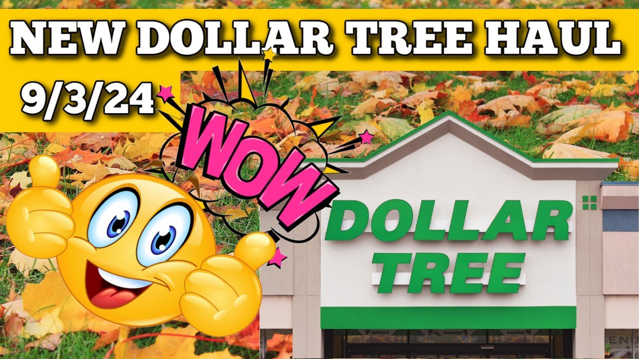New Dollar Tree Haul 9/3/24