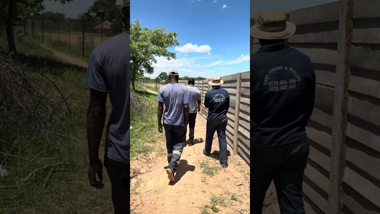 Inspecting our dura wall haa Mark Fencing and Walling yapedza basa😍❤️🙏