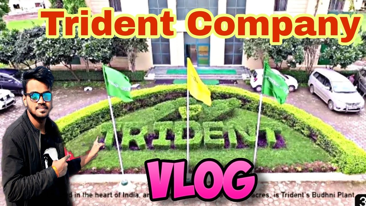 Trident Company vlog &hearts; || Budhni @souravjvlogs @nikhilbisai  #mandideep #viral#trident