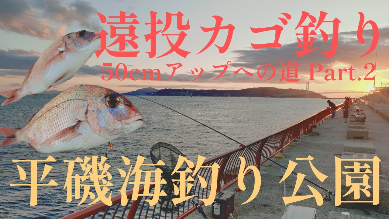 遠投カゴ釣り🎣真鯛50cmアップへの道 Part.2…いつ終わるやら😰