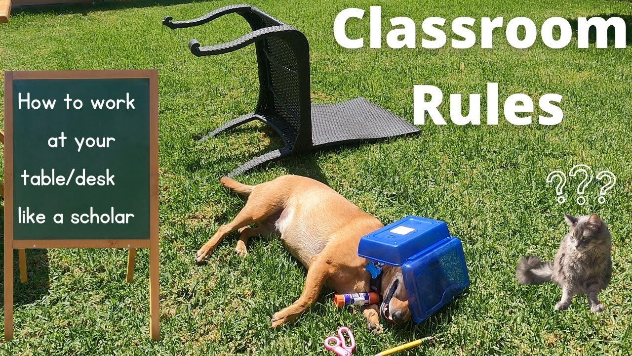 Professor Ginger and Axle and Table/Desk Rules - Classroom Rules When Working at your Table or Desk