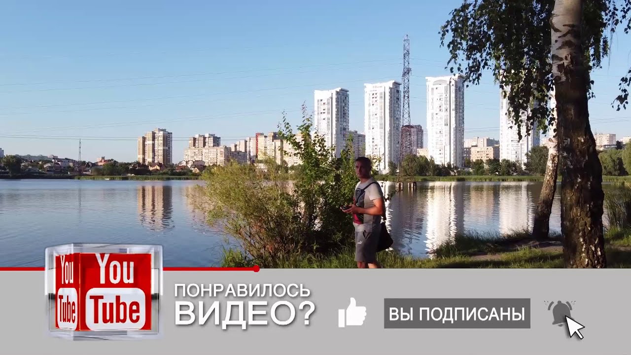 Киев. Святошинское озеро. Пруд номер 15. Беличи