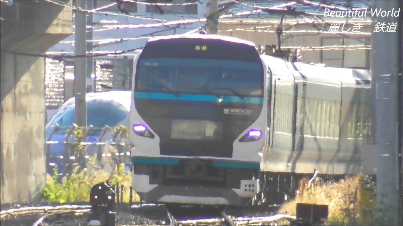 鉄道記念日ｲﾍﾞﾝﾄで長野に参上！特急踊り子用E257系2000番台NA-08編成が長野総合車両センターに回送される！ 2024.10.12 JR長野駅　　panasd 3464
