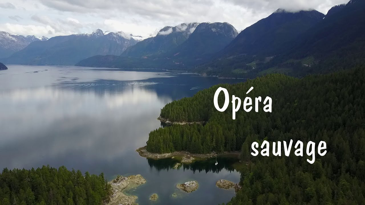 Opéra sauvage