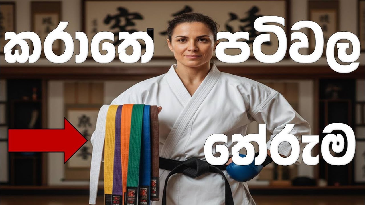 විවිධ වර්ණවල කරාතෙ belt වල තේරුම | Karate belt explains | Dragon Combat 