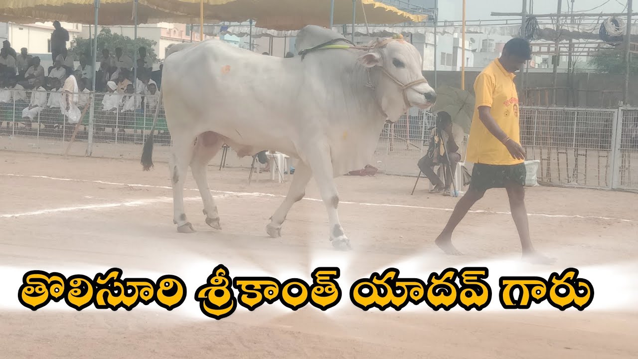 చిలకలూరిపేట. న్యూ కేటగిరి15వ తోలుసూరి శ్రీకాంత్ యాదవ్ గారు శ్రీరామ్ యాదవ్ గారు