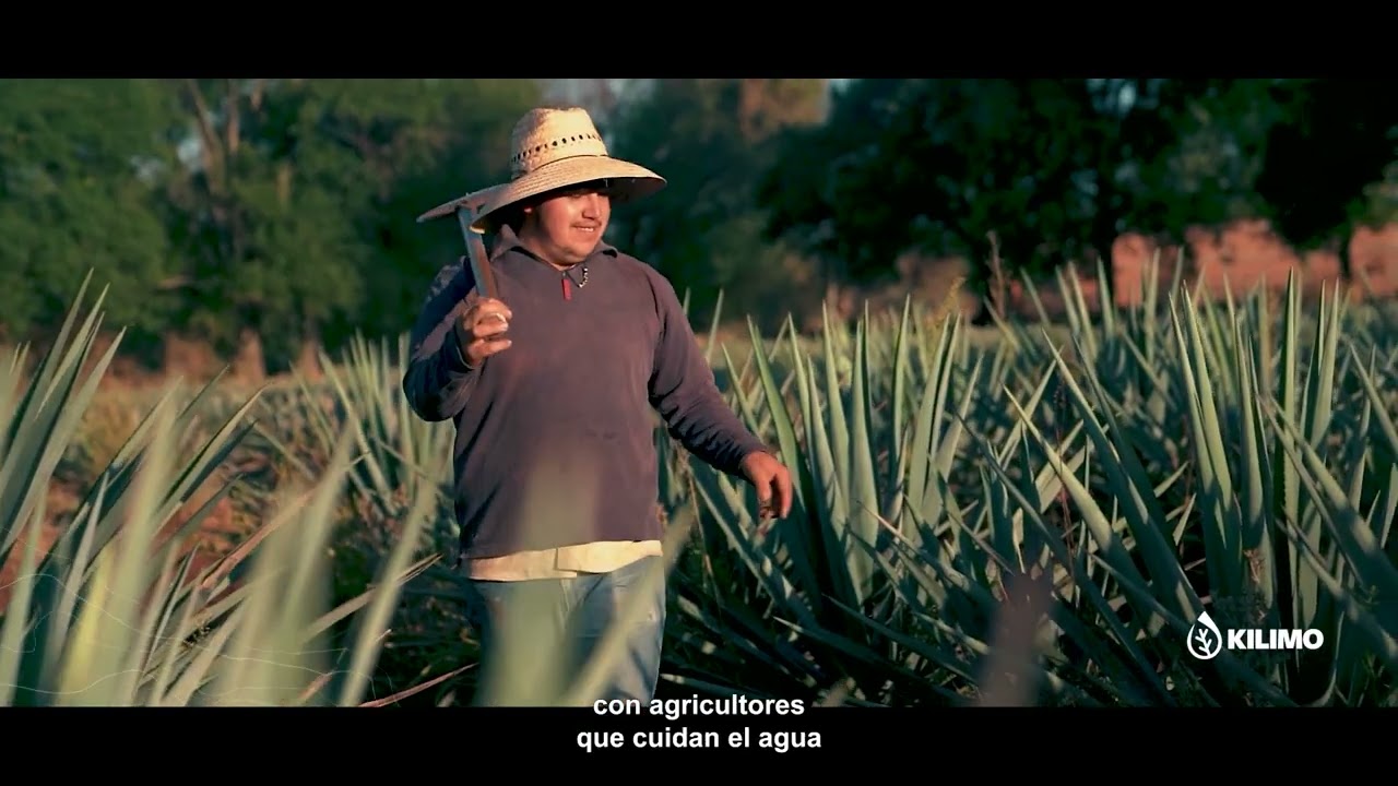 Kilimo, Liderando el camino hacia un futuro agua-positivo