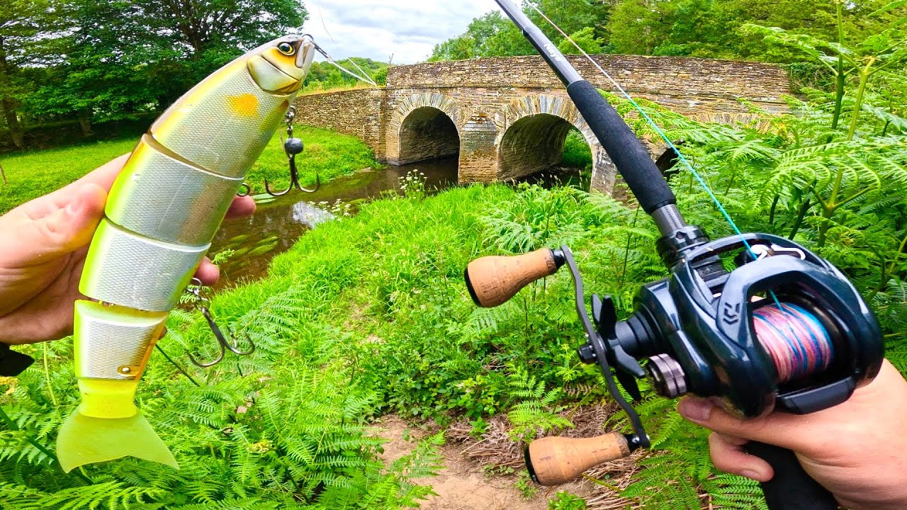 Ce défi de pêche me rapporte gros, je ne m’attendais pas à ça !!!