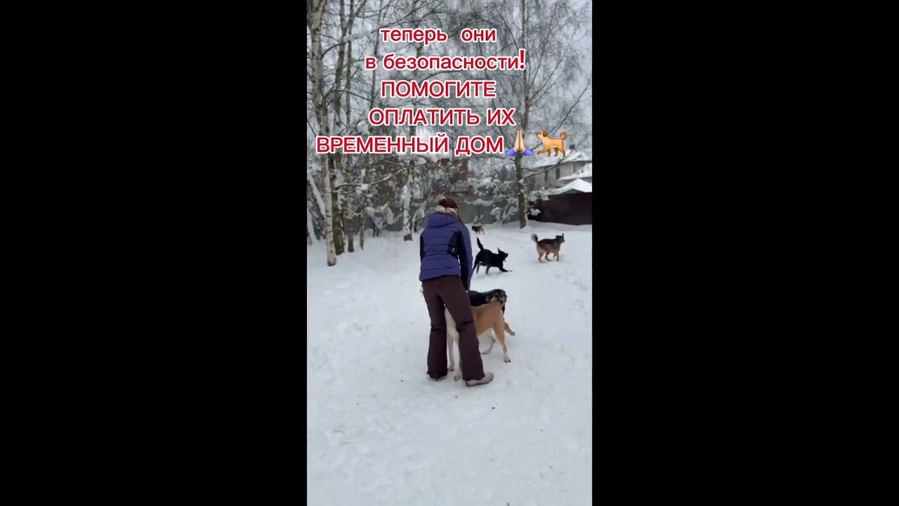 Безмолвные ангелы ...
