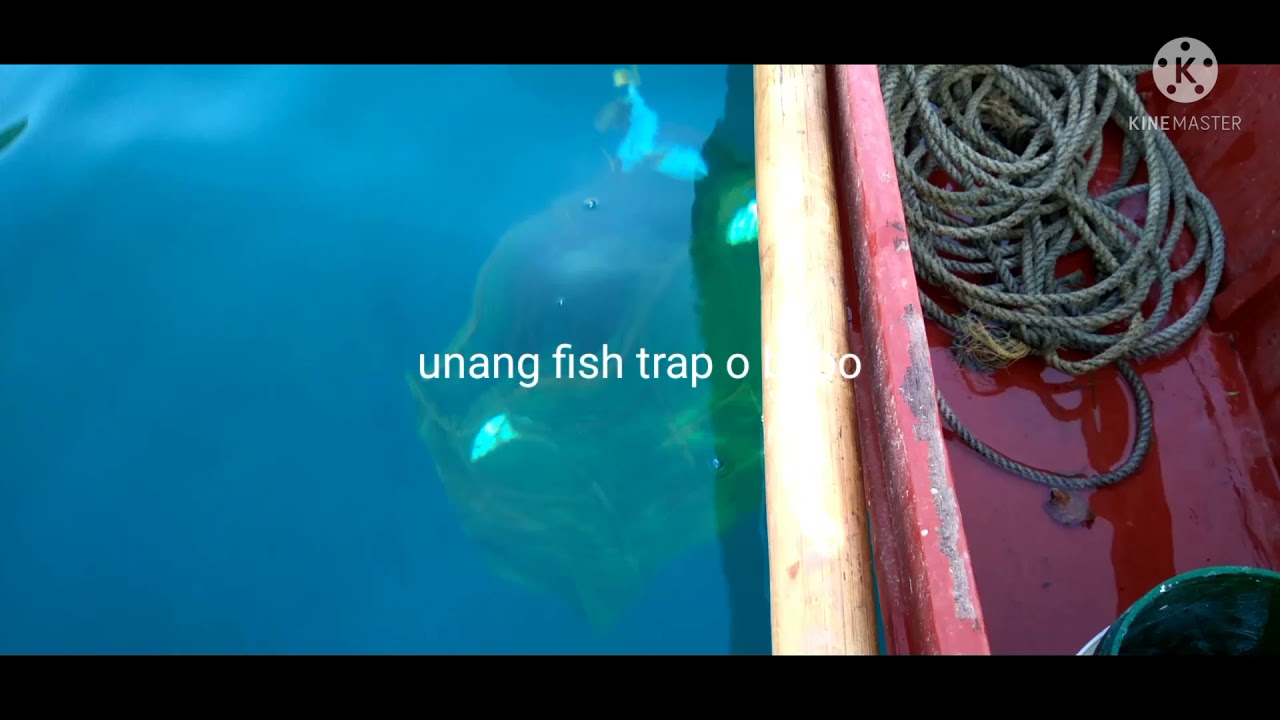 Fish trap adventure part 1