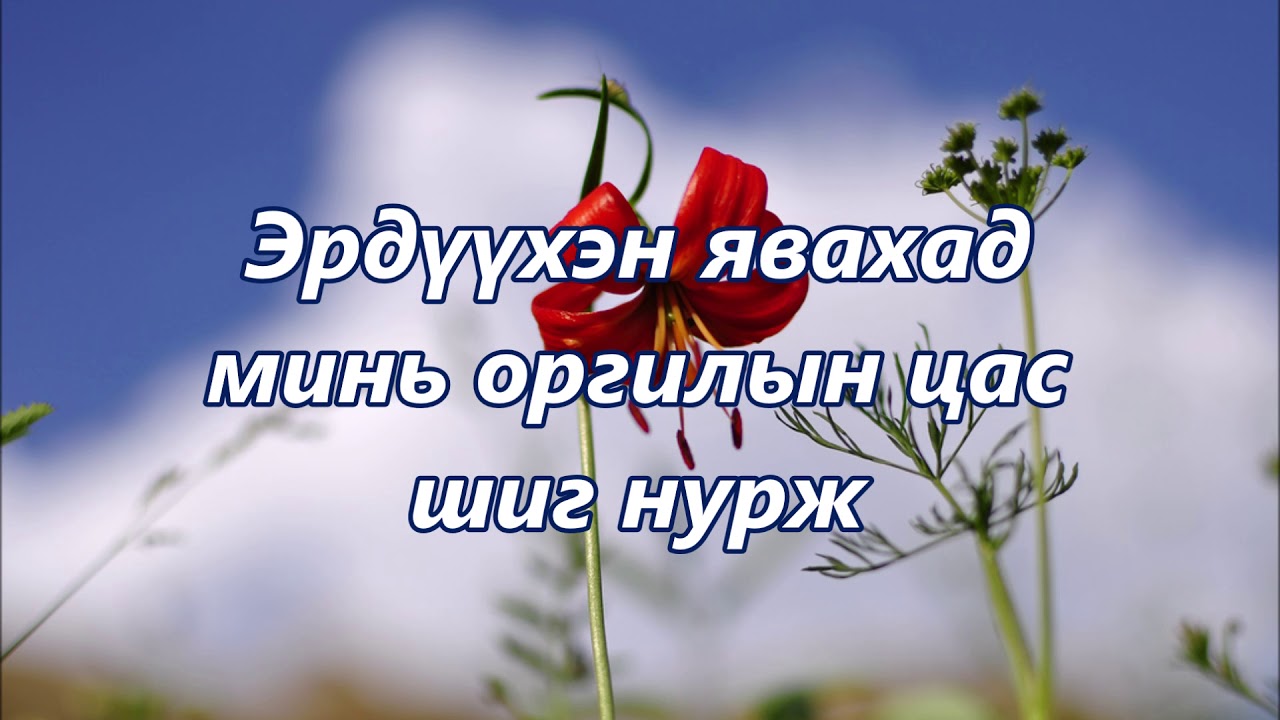 Сүүдэр Цармын Цэцэг - МУГЖ Ц. Түвшинтөгс ( үгтэй )