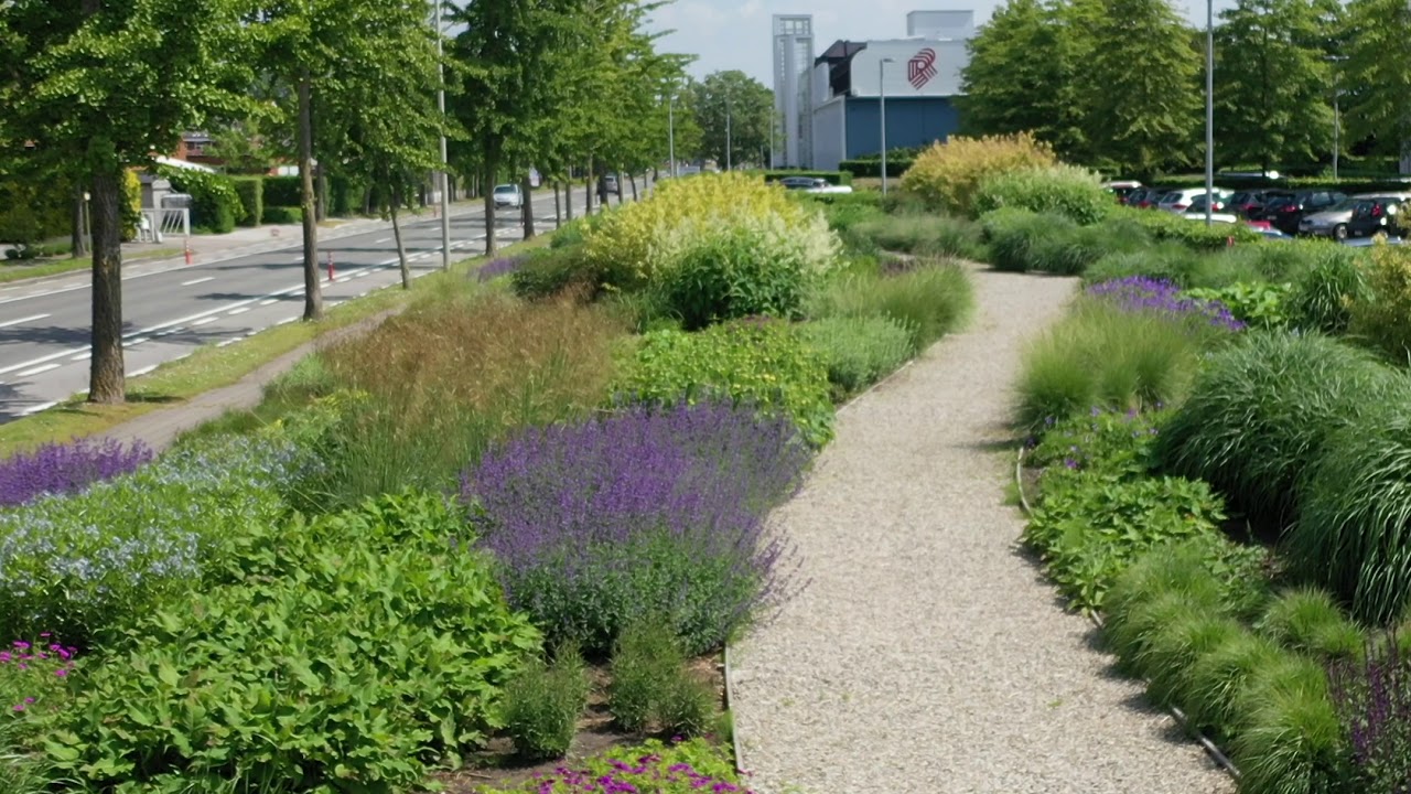Roularta border in Roeselare