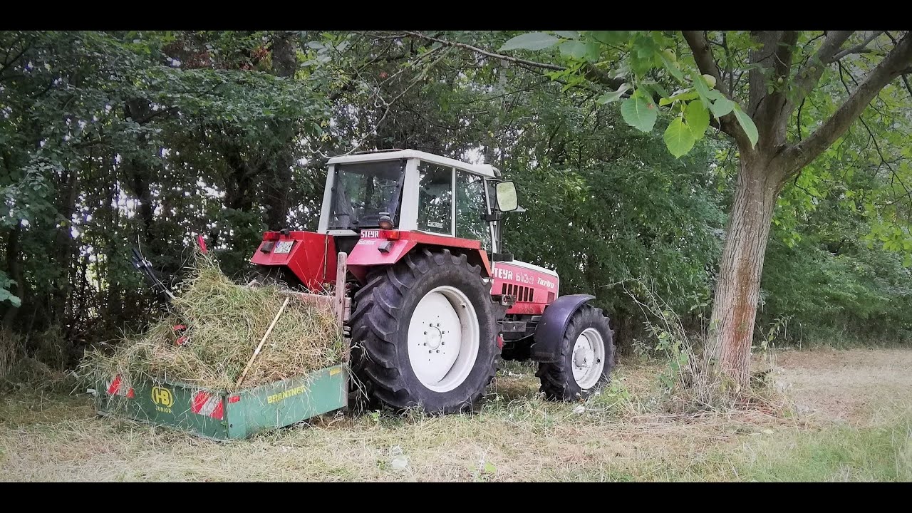 Grünfutter mähen in der Nussplantage - Steyr 8130 SK 2 und Köppl 4 K 510 S im Einsatz