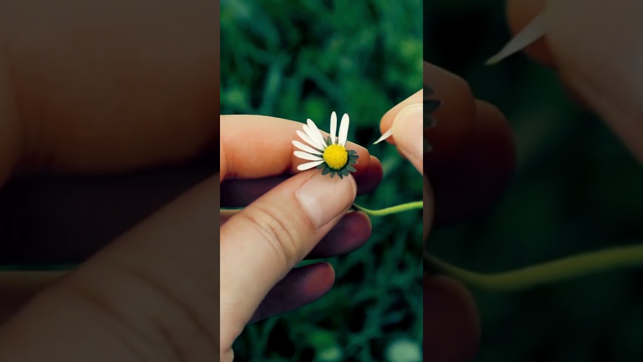 Amour chanson vivre soochrys 