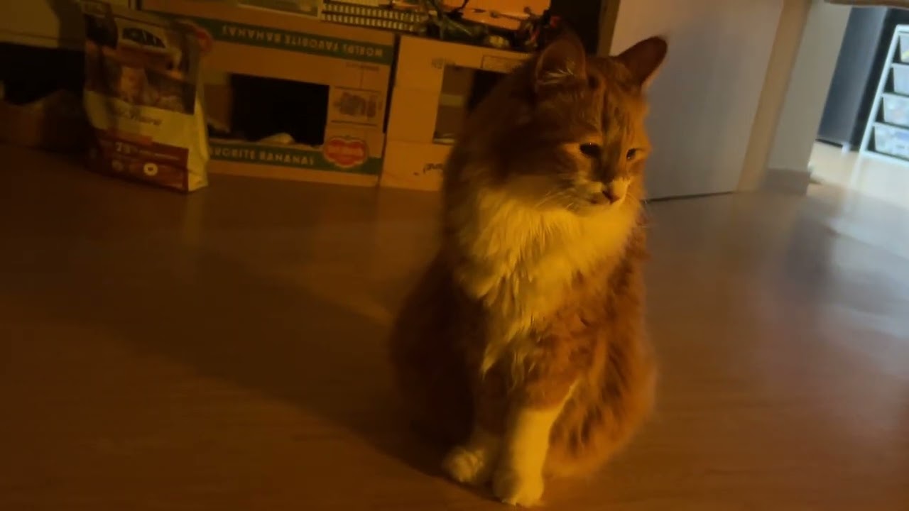 새해복많이